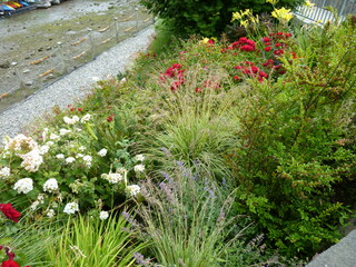 Filename=P1080570.JPG
Filesize=5687KiB
Dimensions=4320x3240
Date added=Jul 24, 2020 P1080570.JPG