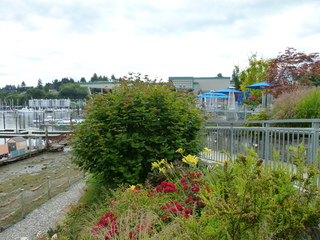 Filename=P1080571.JPG
Filesize=6163KiB
Dimensions=4320x3240
Date added=Jul 24, 2020 P1080571.JPG