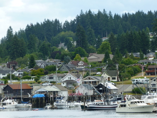 Filename=P1080574.JPG
Filesize=5658KiB
Dimensions=4320x3240
Date added=Jul 24, 2020 P1080574.JPG