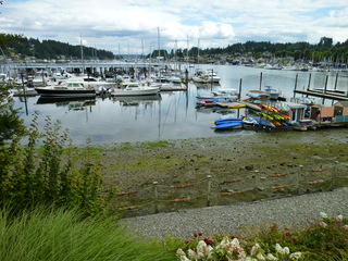 Filename=P1080575.JPG
Filesize=5525KiB
Dimensions=4320x3240
Date added=Jul 24, 2020 P1080575.JPG