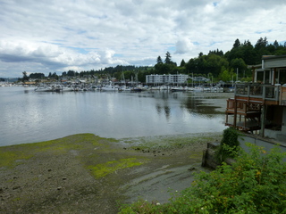 Filename=P1080592.JPG
Filesize=5521KiB
Dimensions=4320x3240
Date added=Jul 24, 2020 P1080592.JPG