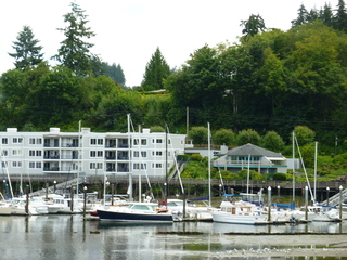 Filename=P1080596.JPG
Filesize=5924KiB
Dimensions=4320x3240
Date added=Jul 24, 2020 P1080596.JPG