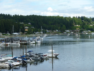 Filename=P1080598.JPG
Filesize=5503KiB
Dimensions=4320x3240
Date added=Jul 24, 2020 P1080598.JPG