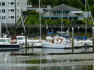 Filename=P1080601.JPG
Filesize=5928KiB
Dimensions=4320x3240
Date added=Jul 24, 2020 P1080601.JPG