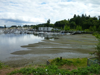 Filename=P1080607.JPG
Filesize=5870KiB
Dimensions=4320x3240
Date added=Jul 24, 2020 P1080607.JPG