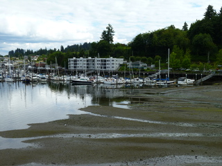 Filename=P1080608.JPG
Filesize=5455KiB
Dimensions=4320x3240
Date added=Jul 24, 2020 P1080608.JPG