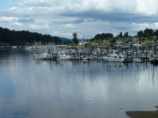 Filename=P1080609.JPG
Filesize=5072KiB
Dimensions=4320x3240
Date added=Jul 24, 2020 P1080609.JPG