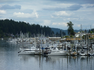 Filename=P1080610.JPG
Filesize=5577KiB
Dimensions=4320x3240
Date added=Jul 24, 2020 P1080610.JPG