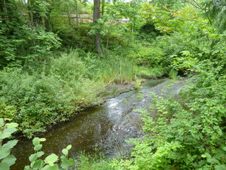 Filename=P1080615.JPG
Filesize=5492KiB
Dimensions=4320x3240
Date added=Jul 24, 2020 P1080615.JPG