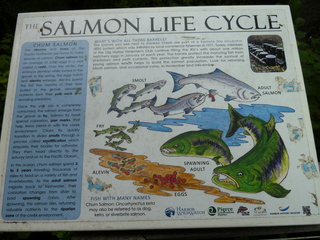 Filename=P1080617.JPG
Filesize=5467KiB
Dimensions=4320x3240
Date added=Jul 24, 2020 P1080617.JPG