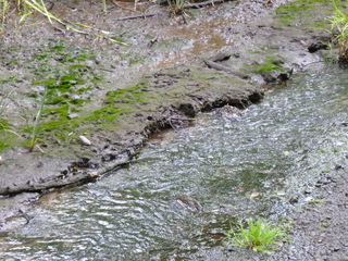 Filename=P1080618.JPG
Filesize=6337KiB
Dimensions=4320x3240
Date added=Jul 24, 2020 P1080618.JPG