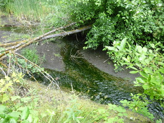 Filename=P1080624.JPG
Filesize=5644KiB
Dimensions=4320x3240
Date added=Jul 24, 2020 P1080624.JPG