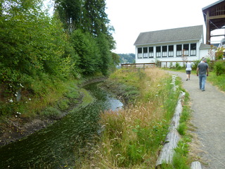 Filename=P1080628.JPG
Filesize=5453KiB
Dimensions=4320x3240
Date added=Jul 24, 2020 P1080628.JPG