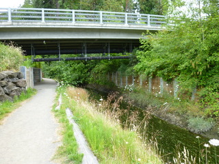 Filename=P1080635.JPG
Filesize=5540KiB
Dimensions=4320x3240
Date added=Jul 24, 2020 P1080635.JPG