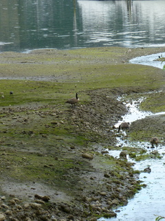 Filename=P1080638.JPG
Filesize=5143KiB
Dimensions=3240x4320
Date added=Jul 24, 2020 P1080638.JPG