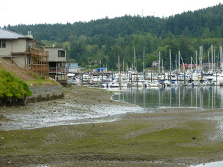 Filename=P1080649.JPG
Filesize=5789KiB
Dimensions=4320x3240
Date added=Jul 24, 2020 P1080649.JPG