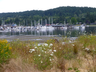 Filename=P1080655.JPG
Filesize=6048KiB
Dimensions=4320x3240
Date added=Jul 24, 2020 P1080655.JPG