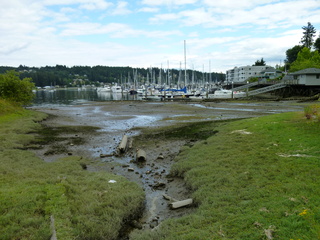 Filename=P1080656.JPG
Filesize=6119KiB
Dimensions=4320x3240
Date added=Jul 24, 2020 P1080656.JPG