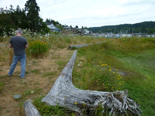 Filename=P1080657.JPG
Filesize=5769KiB
Dimensions=4320x3240
Date added=Jul 24, 2020 P1080657.JPG