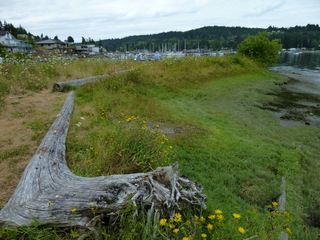 Filename=P1080658.JPG
Filesize=5499KiB
Dimensions=4320x3240
Date added=Jul 24, 2020 P1080658.JPG