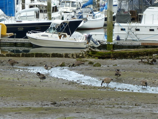 Filename=P1080661.JPG
Filesize=5642KiB
Dimensions=4320x3240
Date added=Jul 24, 2020 P1080661.JPG