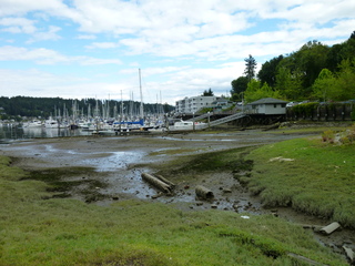 Filename=P1080662.JPG
Filesize=5918KiB
Dimensions=4320x3240
Date added=Jul 24, 2020 P1080662.JPG