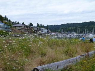 Filename=P1080663.JPG
Filesize=5805KiB
Dimensions=4320x3240
Date added=Jul 24, 2020 P1080663.JPG