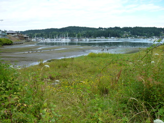 Filename=P1080664.JPG
Filesize=6042KiB
Dimensions=4320x3240
Date added=Jul 24, 2020 P1080664.JPG