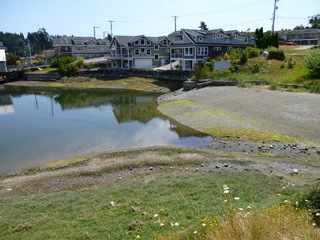 Filename=P1080675.JPG
Filesize=5381KiB
Dimensions=4320x3240
Date added=Jul 31, 2020 P1080675.JPG