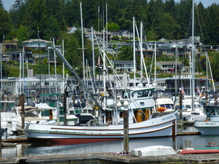 Filename=P1080688.JPG
Filesize=5793KiB
Dimensions=4320x3240
Date added=Jul 31, 2020 P1080688.JPG