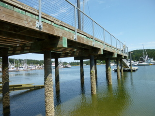 Filename=P1080697.JPG
Filesize=5417KiB
Dimensions=4320x3240
Date added=Jul 31, 2020 P1080697.JPG