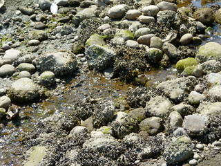 Filename=P1080698.JPG
Filesize=5993KiB
Dimensions=4320x3240
Date added=Jul 31, 2020 P1080698.JPG