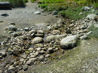 Filename=P1080699.JPG
Filesize=5885KiB
Dimensions=4320x3240
Date added=Jul 31, 2020 P1080699.JPG