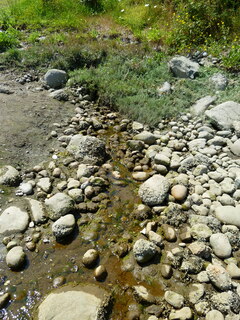 Filename=P1080700.JPG
Filesize=4813KiB
Dimensions=3240x4320
Date added=Jul 31, 2020 P1080700.JPG