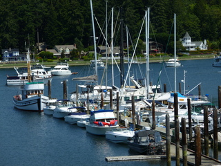 Filename=P1080710.JPG
Filesize=5572KiB
Dimensions=4320x3240
Date added=Jul 31, 2020 P1080710.JPG