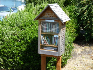 Filename=P1080714.JPG
Filesize=5611KiB
Dimensions=4320x3240
Date added=Jul 31, 2020 P1080714.JPG