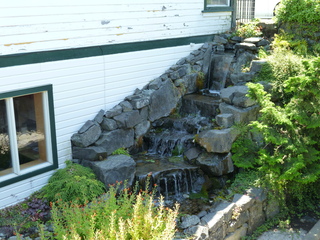 Filename=P1080715.JPG
Filesize=6045KiB
Dimensions=4320x3240
Date added=Jul 31, 2020 P1080715.JPG