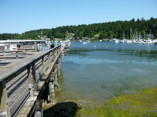 Filename=P1080722.JPG
Filesize=5776KiB
Dimensions=4320x3240
Date added=Jul 31, 2020 P1080722.JPG