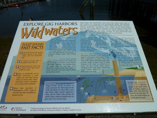 Filename=P1080729.JPG
Filesize=5643KiB
Dimensions=4320x3240
Date added=Jul 31, 2020 P1080729.JPG