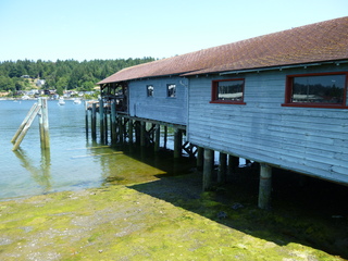 Filename=P1080730.JPG
Filesize=5657KiB
Dimensions=4320x3240
Date added=Jul 31, 2020 P1080730.JPG