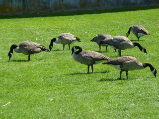 Filename=P1080733.JPG
Filesize=5473KiB
Dimensions=4320x3240
Date added=Jul 31, 2020 P1080733.JPG