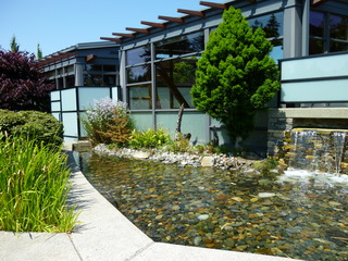 Filename=P1080749.JPG
Filesize=5452KiB
Dimensions=4320x3240
Date added=Jul 31, 2020 P1080749.JPG