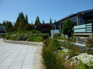 Filename=P1080753.JPG
Filesize=5263KiB
Dimensions=4320x3240
Date added=Jul 31, 2020 P1080753.JPG