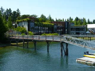 Filename=P1080772.JPG
Filesize=5877KiB
Dimensions=4320x3240
Date added=Jul 31, 2020 P1080772.JPG