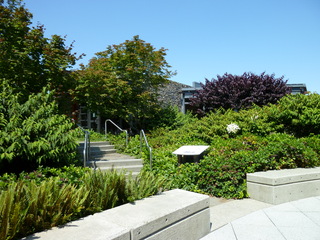 Filename=P1080779.JPG
Filesize=5480KiB
Dimensions=4320x3240
Date added=Jul 31, 2020 P1080779.JPG