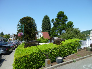 Filename=P1080785.JPG
Filesize=5187KiB
Dimensions=4320x3240
Date added=Jul 31, 2020 P1080785.JPG