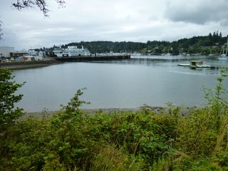 Filename=P1080797.JPG
Filesize=5562KiB
Dimensions=4320x3240
Date added=Aug 10, 2020 P1080797.JPG