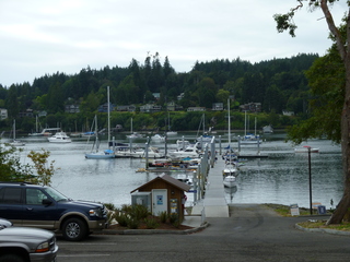 Filename=P1080810.JPG
Filesize=5661KiB
Dimensions=4320x3240
Date added=Aug 10, 2020 P1080810.JPG