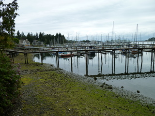 Filename=P1080813.JPG
Filesize=5941KiB
Dimensions=4320x3240
Date added=Aug 10, 2020 P1080813.JPG