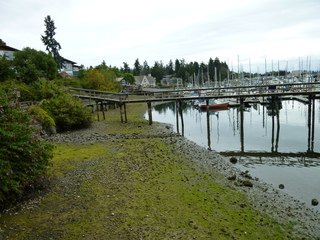 Filename=P1080814.JPG
Filesize=6048KiB
Dimensions=4320x3240
Date added=Aug 10, 2020 P1080814.JPG